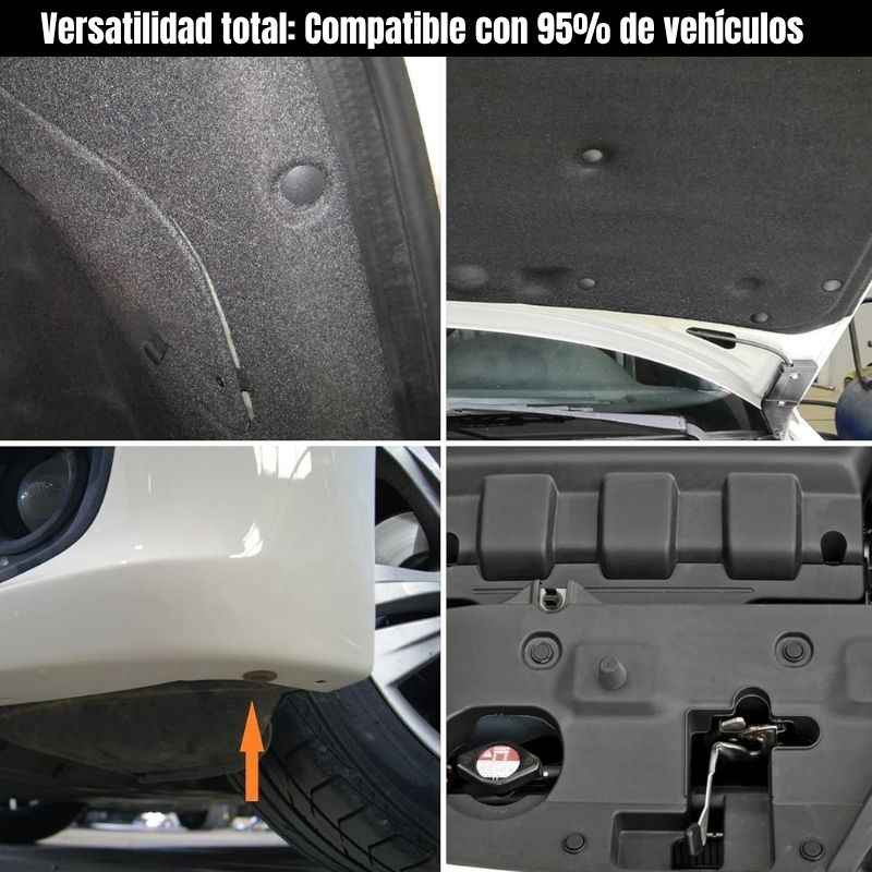 Set 240 Clips de fijación para automóvil