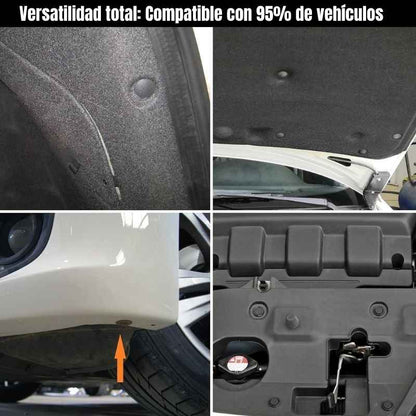 Set 240 Clips de fijación para automóvil