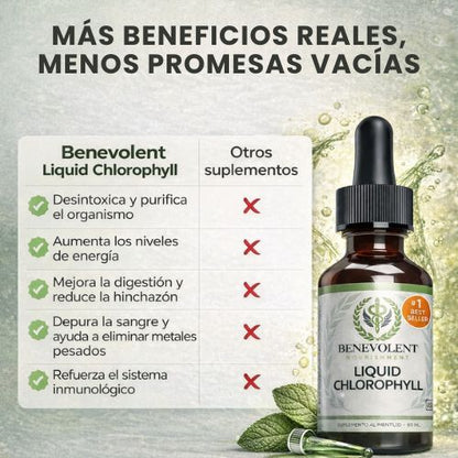 Clorofila Benevolent: Suplemento détox a base de clorofila