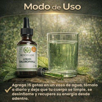 Clorofila Benevolent: Suplemento détox a base de clorofila