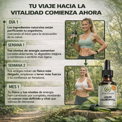 Clorofila Benevolent: Suplemento détox a base de clorofila